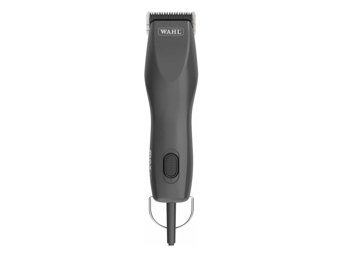 Wahl Max 50+ i svart